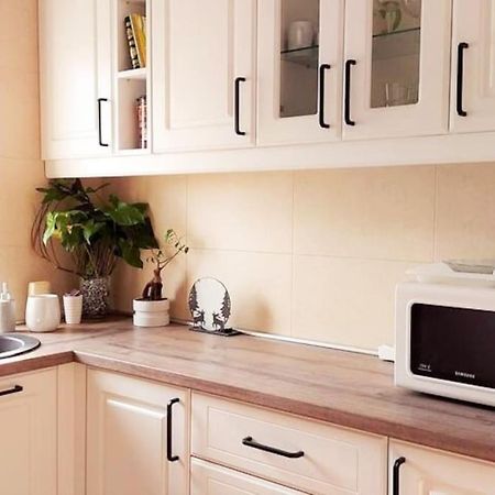 Cosy Boutique 61 Sqm Apartment - Private Parking - Ten Blocks Residence 부쿠레슈티 외부 사진